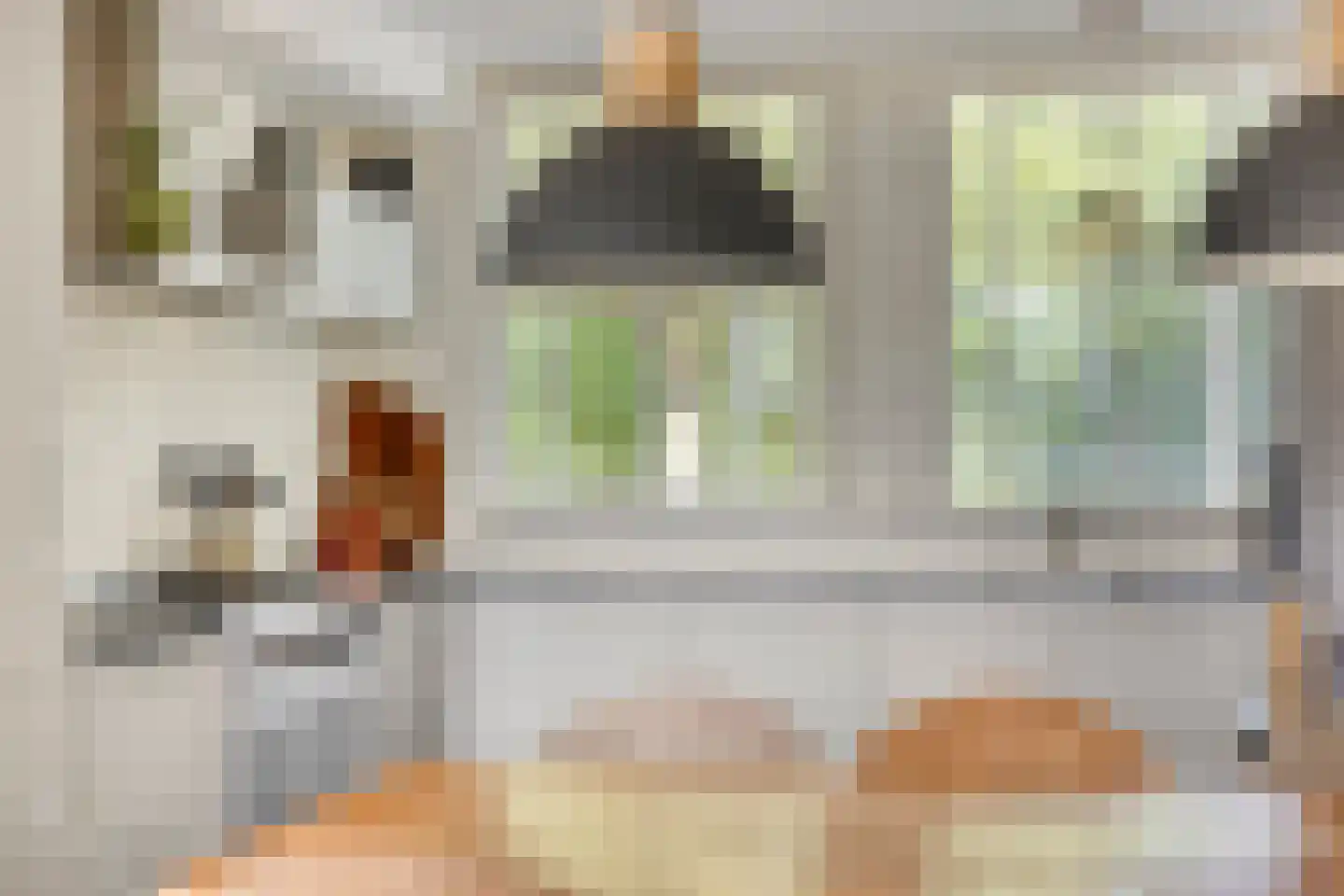 Koolwijk 32 Hendrik-Ido-Ambacht thumbnail 13