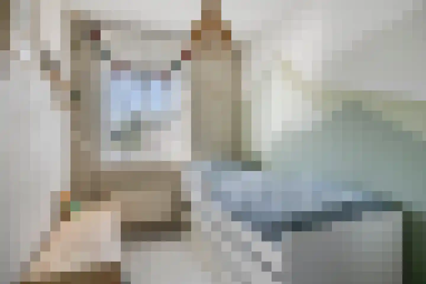 Koolwijk 32 Hendrik-Ido-Ambacht thumbnail 21