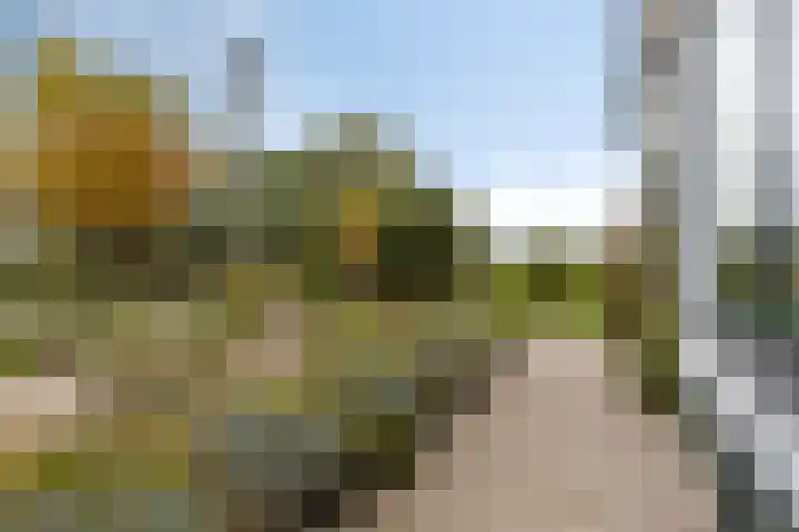 Koolwijkseweg 8 Stolwijk thumbnail 27