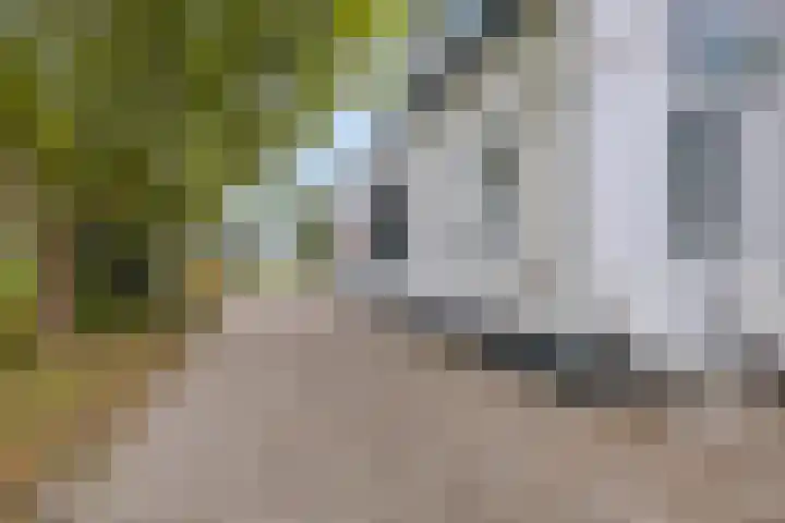 Koolwijkseweg 8 Stolwijk thumbnail 30