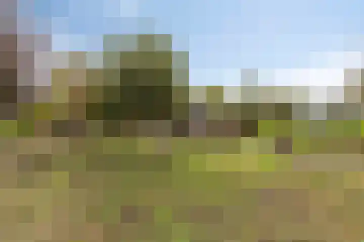 Koolwijkseweg 8 Stolwijk thumbnail 33