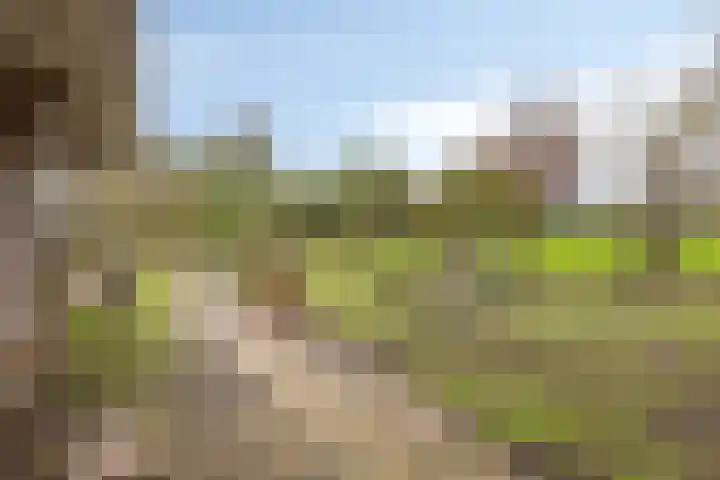 Koolwijkseweg 8 Stolwijk thumbnail 34