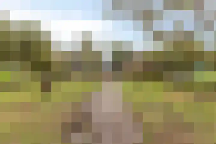 Koolwijkseweg 8 Stolwijk thumbnail 35