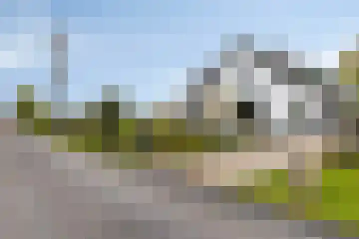 Koolwijkseweg 8 Stolwijk thumbnail 36