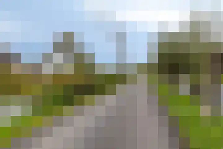 Koolwijkseweg 8 Stolwijk thumbnail 37