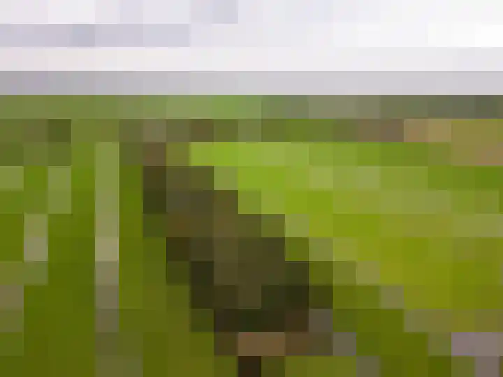 Koolwijkseweg 8 Stolwijk thumbnail 39