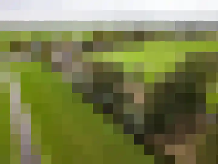 Koolwijkseweg 8 Stolwijk thumbnail 40