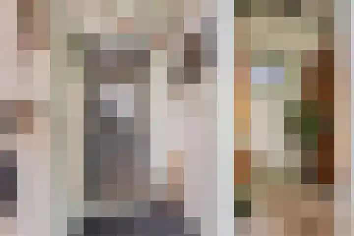Koolwijkseweg 8 Stolwijk thumbnail 5