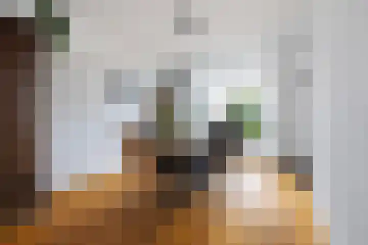 Koolwijkstraat 21 Tilburg thumbnail 9
