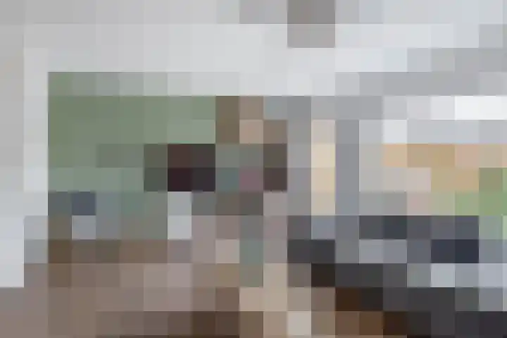 Koolwitje 1 Hellevoetsluis thumbnail 12