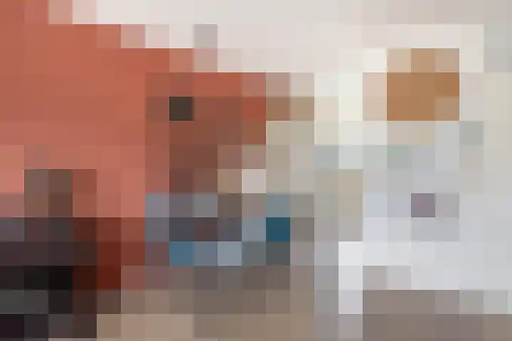 Koolwitje 1 Hellevoetsluis thumbnail 15