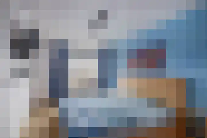 Koolwitje 1 Hellevoetsluis thumbnail 21