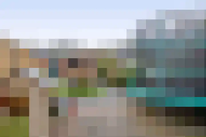 Koolwitje 1 Hellevoetsluis thumbnail 32