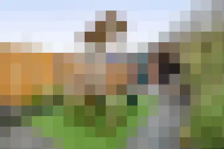 Koolwitje 1 Hellevoetsluis thumbnail 34