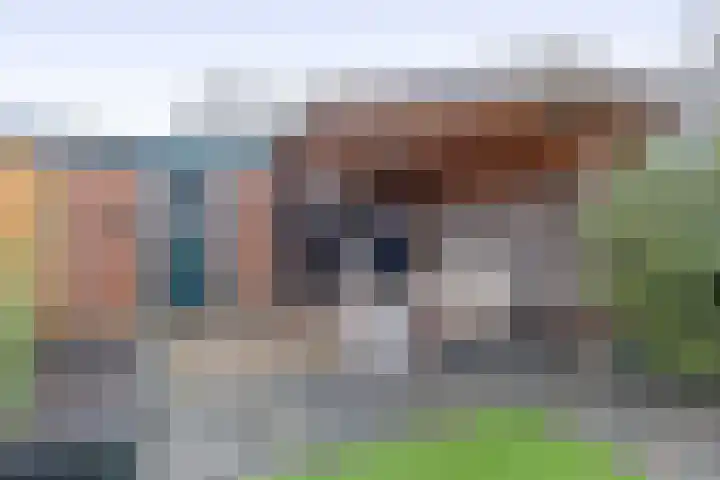 Koolwitje 1 Hellevoetsluis thumbnail 35