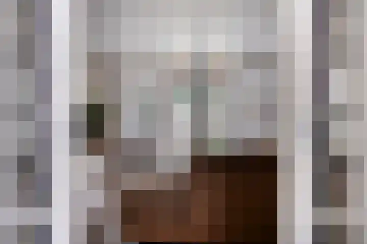 Koolwitje 11 Someren thumbnail 11