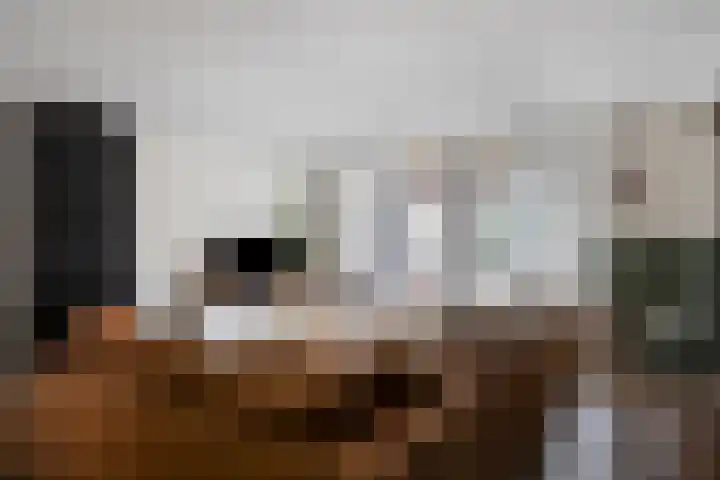Koolwitje 11 Someren thumbnail 12