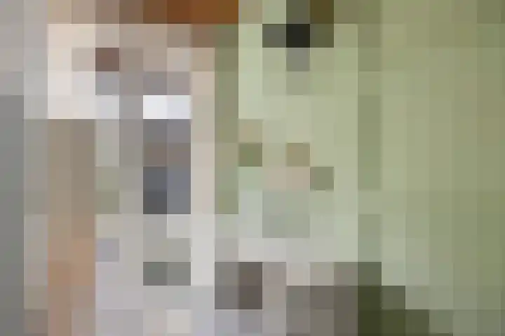 Koolwitje 11 Someren thumbnail 14