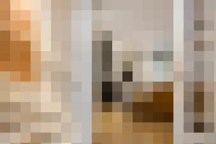 Koolwitje 11 Someren thumbnail 15
