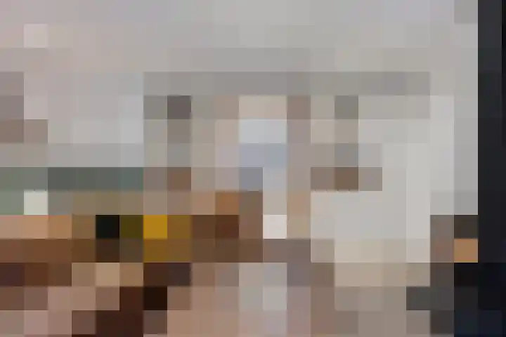 Koolwitje 11 Someren thumbnail 16