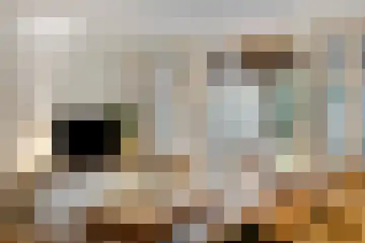 Koolwitje 11 Someren thumbnail 17
