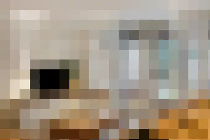 Koolwitje 11 Someren thumbnail 18