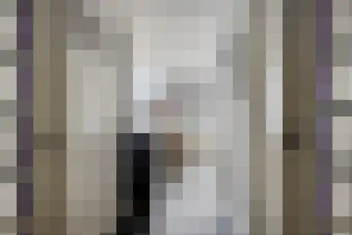 Koolwitje 11 Someren thumbnail 21