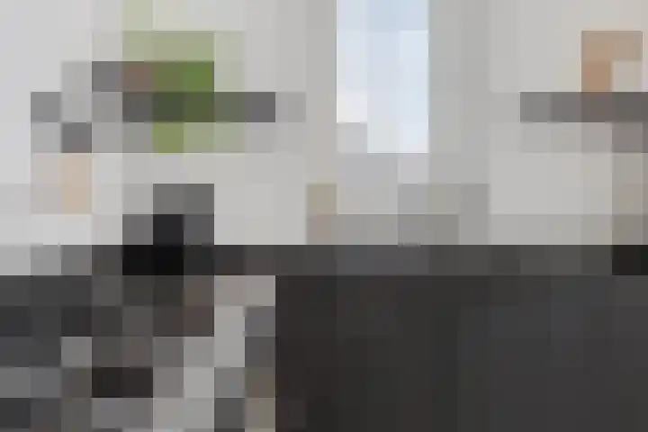 Koolwitje 11 Someren thumbnail 22