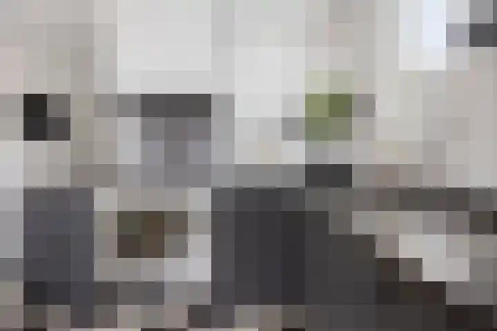 Koolwitje 11 Someren thumbnail 25
