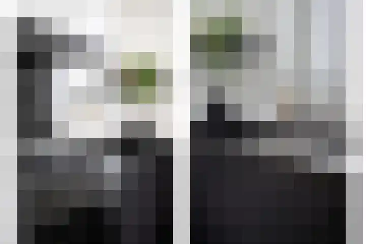 Koolwitje 11 Someren thumbnail 26