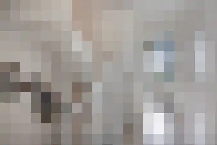 Koolwitje 11 Someren thumbnail 28