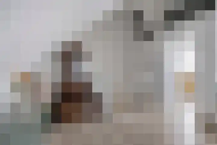 Koolwitje 11 Someren thumbnail 38
