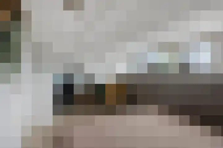 Koolwitje 11 Someren thumbnail 40