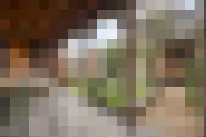 Koolwitje 11 Someren thumbnail 44
