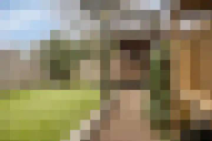 Koolwitje 11 Someren thumbnail 45