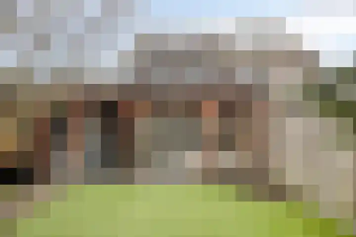Koolwitje 11 Someren thumbnail 47