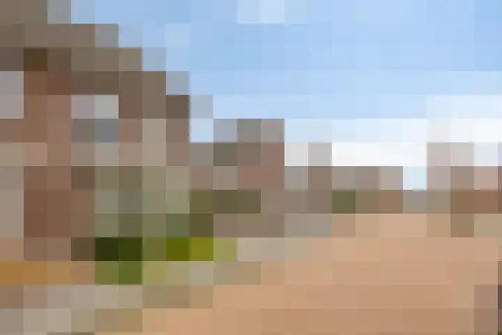 Koolwitje 11 Someren thumbnail 48