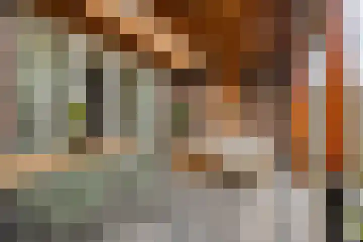 Koolwitje 11 Someren thumbnail 5