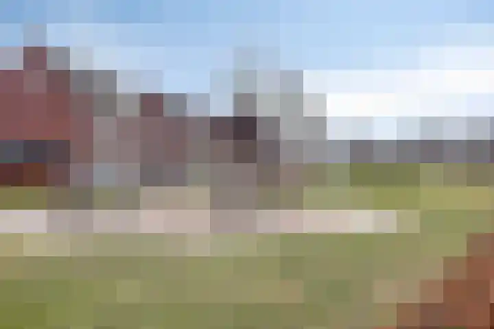 Koolwitje 11 Someren thumbnail 50