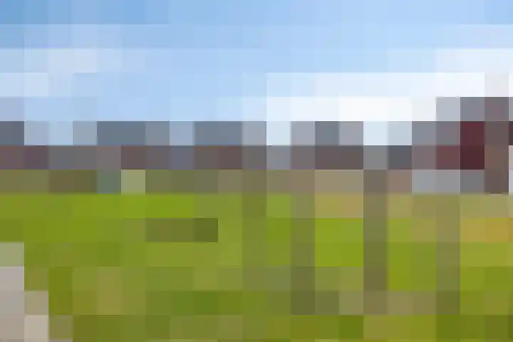 Koolwitje 11 Someren thumbnail 51