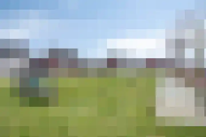 Koolwitje 11 Someren thumbnail 52