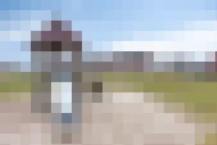 Koolwitje 11 Someren thumbnail 53