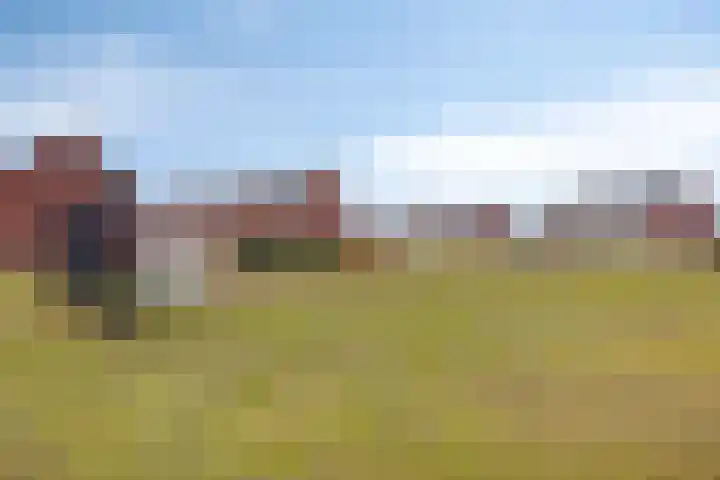 Koolwitje 11 Someren thumbnail 54