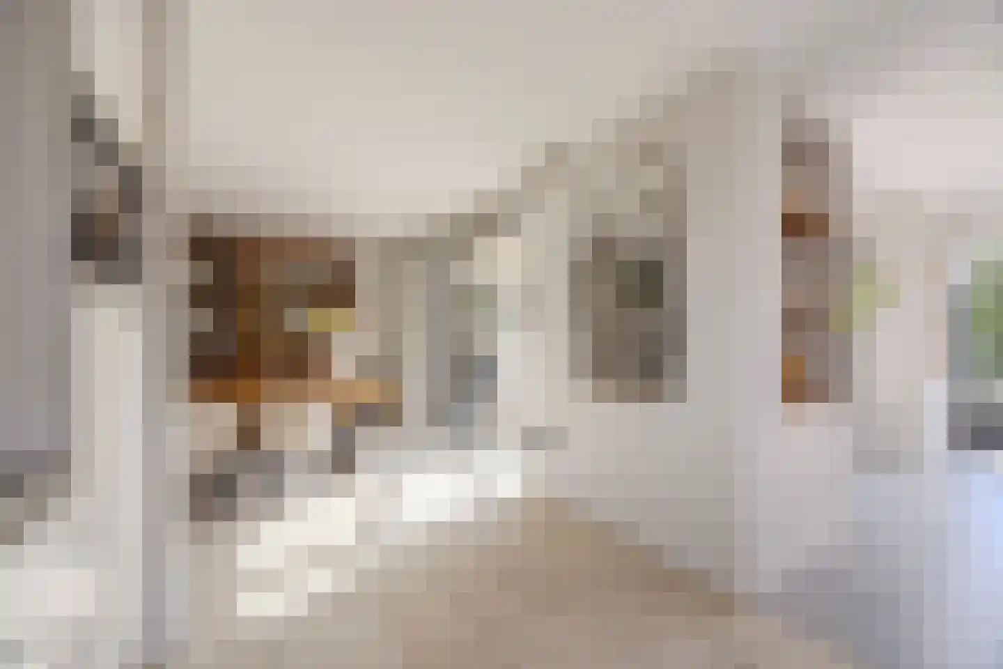 Koolwitje 2 Oosterhout thumbnail 13