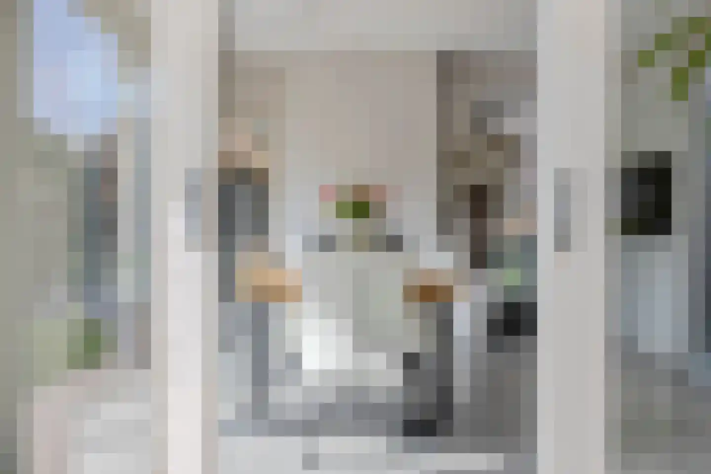 Koolwitje 2 Oosterhout thumbnail 19