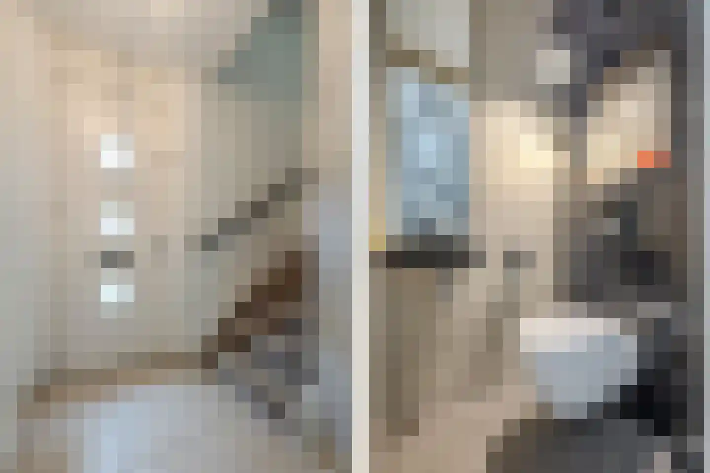 Koolwitje 2 Oosterhout thumbnail 22