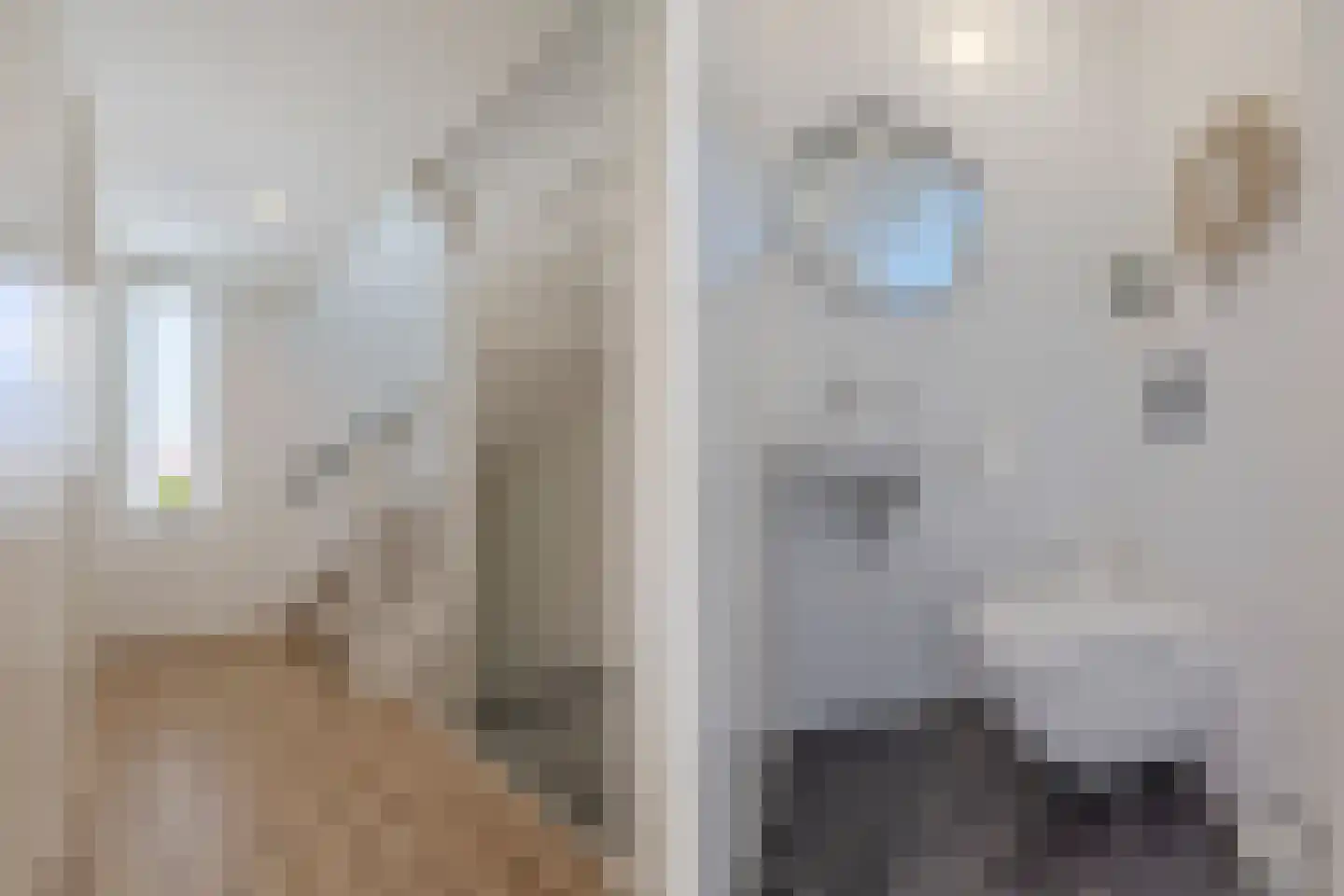Koolwitje 2 Oosterhout thumbnail 24