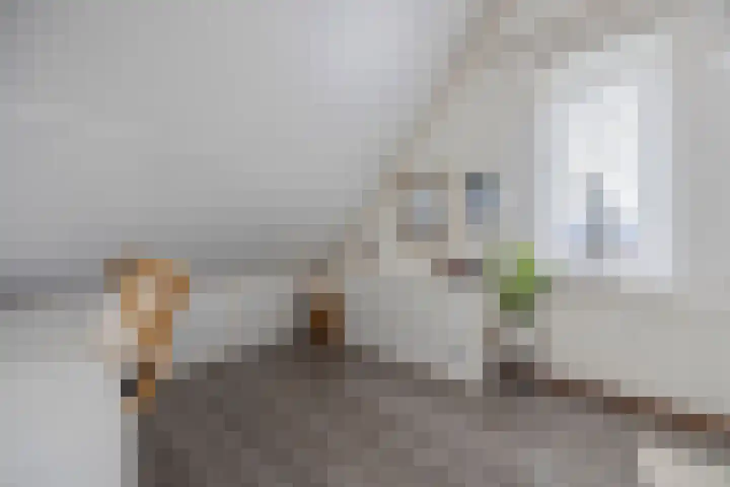Koolwitje 2 Oosterhout thumbnail 43