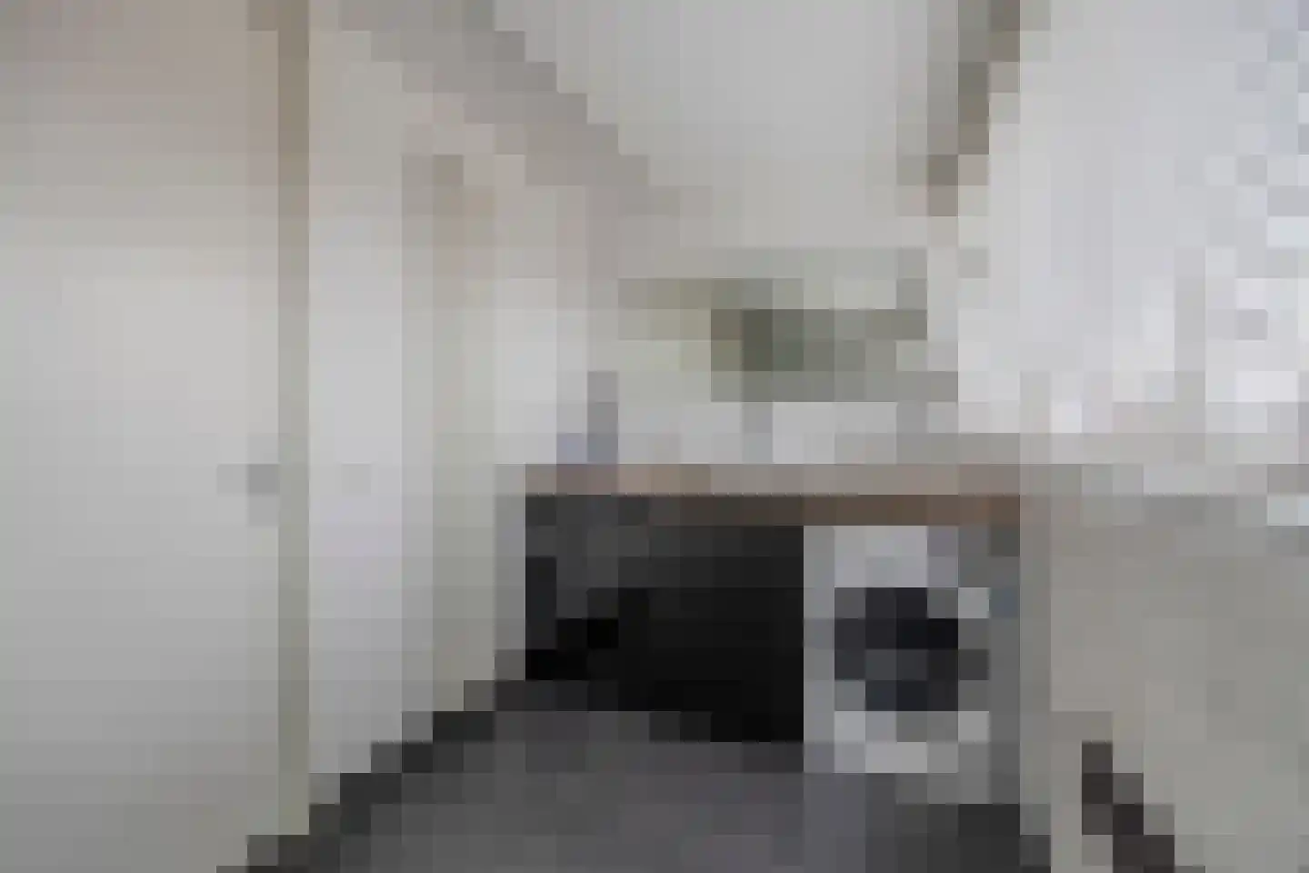 Koolwitje 2 Oosterhout thumbnail 46