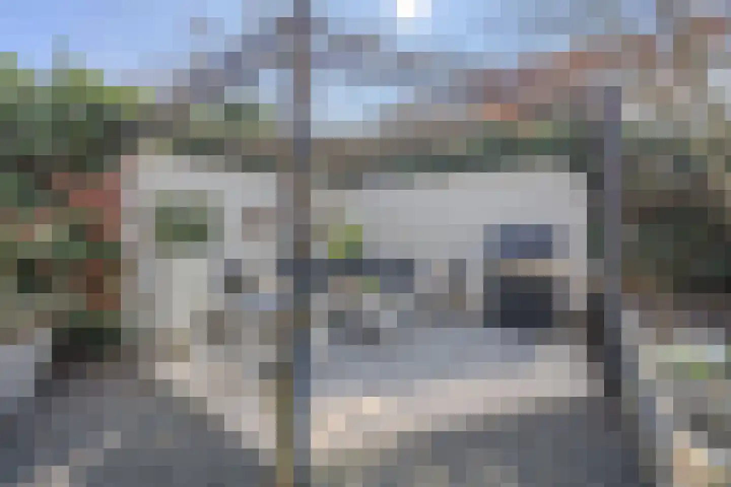 Koolwitje 2 Oosterhout thumbnail 48